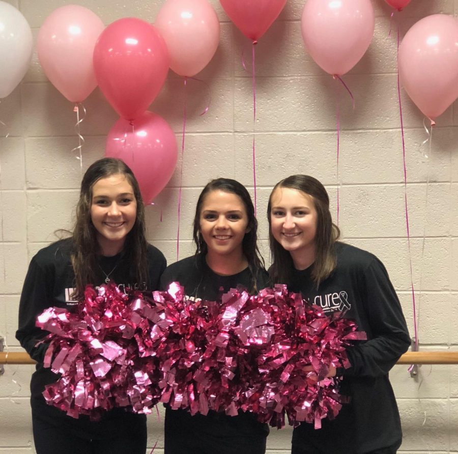 AHS cheerleaders S. Samsel, S. Stout, and K. Taylor